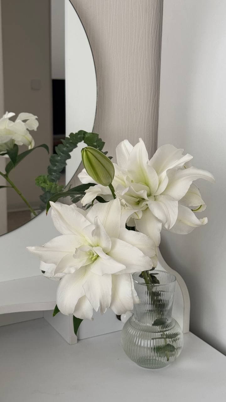 سوگند — عضو خانوادهی هستی